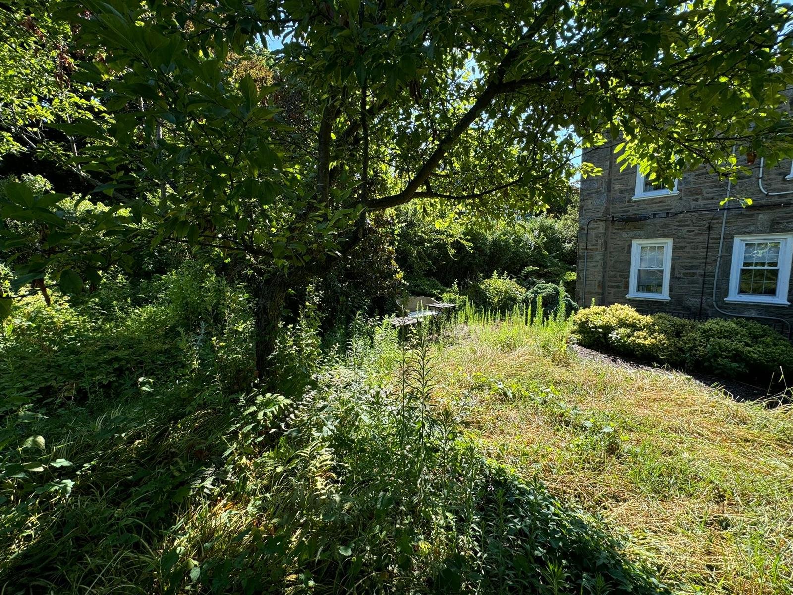Yard cleanup work by Green Force Property Services